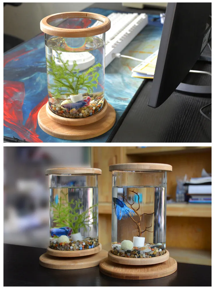 Small Office Glass Aquarium Bamboo Base Mini Fish Tank Decoration