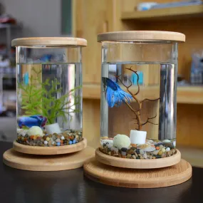 Small Office Glass Aquarium Bamboo Base Mini Fish Tank Decoration