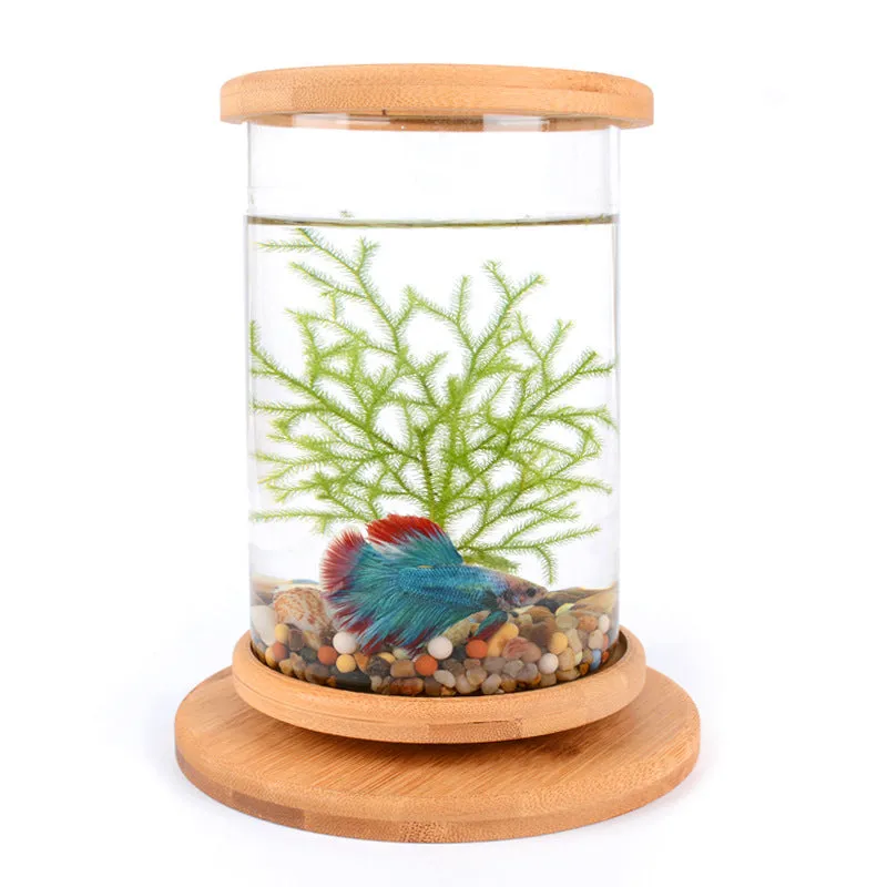 Small Office Glass Aquarium Bamboo Base Mini Fish Tank Decoration